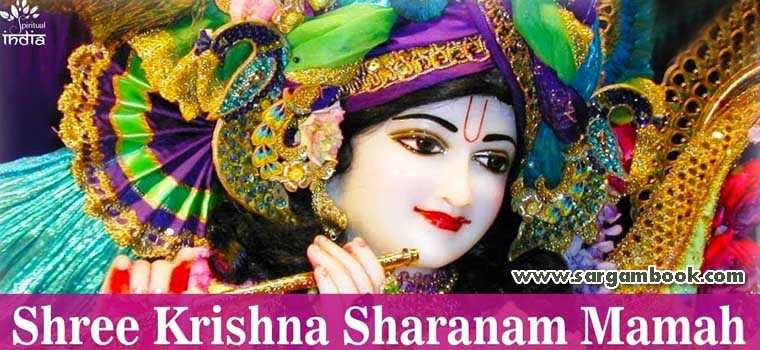 Shree Krishna Sharanam Mamah (Hemant Chauhan)