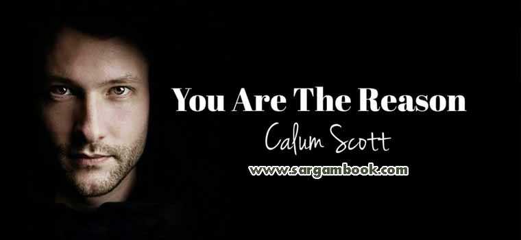 You Are The Reason (Calum Scott)