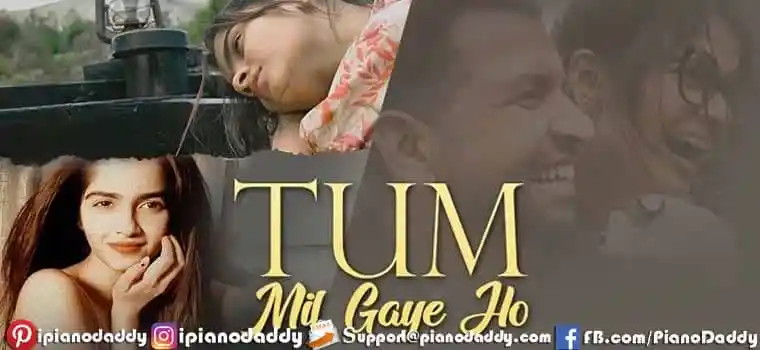 Tum Mil Gaye Ho Sargam Notes Ananya Sankhe