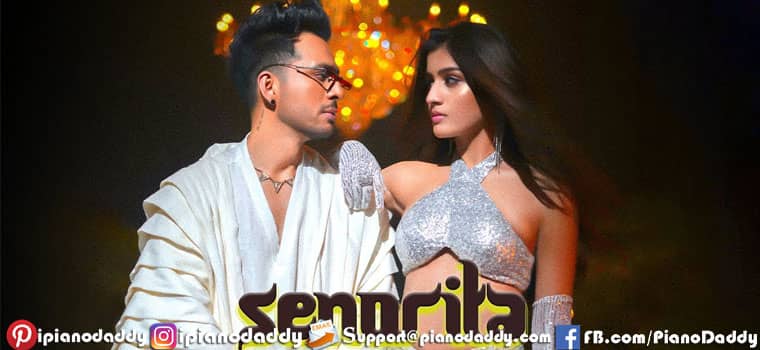 Senorita Sargam Notes Tony Kakkar